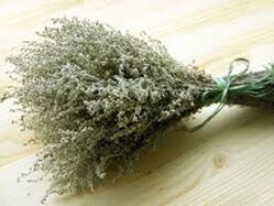 Wormwood powder helps fight pests