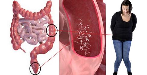 Pests in the body