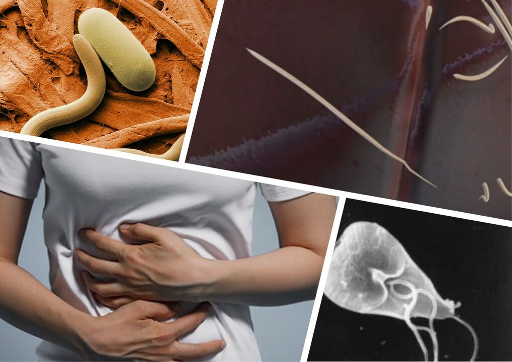 pests in body treatment
