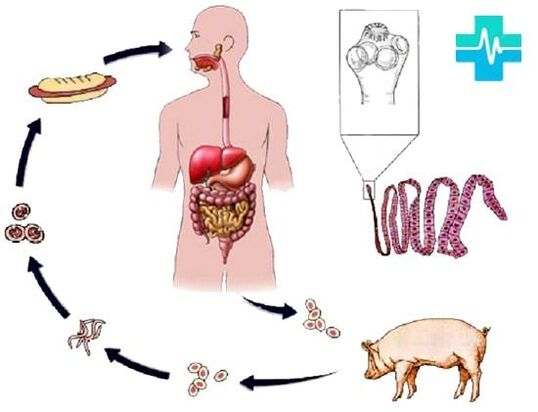 Ways of infection